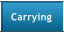 Carrying